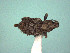  ( - MLPCU0506)  @11 [ ] Unspecified (default): All Rights Reserved  Unspecified Unspecified