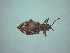  ( - MLPCU0510)  @11 [ ] Unspecified (default): All Rights Reserved  Unspecified Unspecified