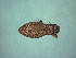  ( - MLPCU0516)  @11 [ ] Unspecified (default): All Rights Reserved  Unspecified Unspecified