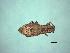  (Aramigus - MLPCU0517)  @11 [ ] Unspecified (default): All Rights Reserved  Unspecified Unspecified