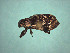  ( - MLPCU0523)  @11 [ ] Unspecified (default): All Rights Reserved  Unspecified Unspecified