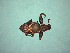  ( - MLPCU0524)  @11 [ ] Unspecified (default): All Rights Reserved  Unspecified Unspecified