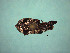  ( - MLPCU0535)  @11 [ ] Unspecified (default): All Rights Reserved  Unspecified Unspecified