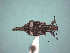  ( - MLPCU0567)  @11 [ ] Unspecified (default): All Rights Reserved  Unspecified Unspecified