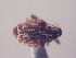  ( - MLPCU0109)  @12 [ ] Unspecified (default): All Rights Reserved  Unspecified Unspecified