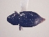  ( - MLPCU0193)  @11 [ ] Unspecified (default): All Rights Reserved  Unspecified Unspecified