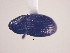  ( - MLPCU0194)  @11 [ ] Unspecified (default): All Rights Reserved  Unspecified Unspecified