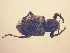  ( - MLPCU0149)  @11 [ ] Unspecified (default): All Rights Reserved  Unspecified Unspecified