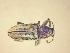  ( - MLPCU0165)  @11 [ ] Unspecified (default): All Rights Reserved  Unspecified Unspecified