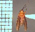  ( - ME414)  @11 [ ] No Rights Reserved (2018) Eugenia Minghetti Museo de La Plata