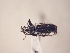  ( - MLPCU0428)  @11 [ ] Unspecified (default): All Rights Reserved  Unspecified Unspecified