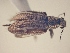  ( - MLPCU0422)  @11 [ ] Unspecified (default): All Rights Reserved  Unspecified Unspecified