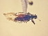  ( - MLPCU0427)  @12 [ ] Unspecified (default): All Rights Reserved  Unspecified Unspecified