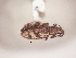  ( - MLPCU0418)  @13 [ ] Unspecified (default): All Rights Reserved  Unspecified Unspecified