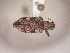  ( - MLPCU0420)  @13 [ ] Unspecified (default): All Rights Reserved  Unspecified Unspecified