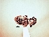  ( - MLPCU0368)  @11 [ ] Unspecified (default): All Rights Reserved  Unspecified Unspecified