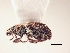  ( - MLPCU0027)  @13 [ ] Unspecified (default): All Rights Reserved  Unspecified Unspecified