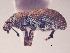  ( - MLPCU0055)  @13 [ ] Unspecified (default): All Rights Reserved  Unspecified Unspecified