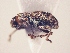  ( - MLPCU0077)  @12 [ ] Unspecified (default): All Rights Reserved  Unspecified Unspecified