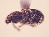  ( - MLPCU0097)  @12 [ ] Unspecified (default): All Rights Reserved  Unspecified Unspecified