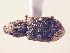  ( - MLPCU0127)  @11 [ ] Unspecified (default): All Rights Reserved  Unspecified Unspecified
