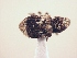  ( - MLPCU0273)  @11 [ ] Unspecified (default): All Rights Reserved  Unspecified Unspecified