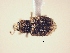  ( - MLPCU0275)  @11 [ ] Unspecified (default): All Rights Reserved  Unspecified Unspecified