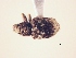  ( - MLPCU0276)  @11 [ ] Unspecified (default): All Rights Reserved  Unspecified Unspecified