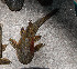  ( - CREG ECOMOL AR11-1153)  @11 [ ] Copyright (2012) UNLP Universidad Nacional de La Plata