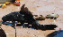  ( - CREG ECOMOL AR11-450)  @11 [ ] Copyright (2012) UNLP Universidad Nacional de La Plata