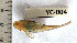  ( - CREG ECOMOL YC-004)  @12 [ ] Copyright (2009) UNLP Universidad Nacional de La Plata