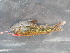  ( - CREG ECOMOL YC13-591)  @13 [ ] Unspecified (default): All Rights Reserved  Unspecified Unspecified