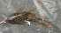  ( - CREG ECOMOL YC13-782)  @13 [ ] Unspecified (default): All Rights Reserved  Unspecified Unspecified
