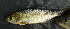  ( - CREG ECOMOL YC13-584)  @11 [ ] Unspecified (default): All Rights Reserved  Unspecified Unspecified