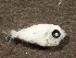  ( - MLRV-LP1)  @11 [ ] No Rights Reserved  Unspecified Unspecified