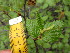  ( - MLTV12)  @11 [ ] Copyright (2011) Malie Lessard-Therrien Unspecified