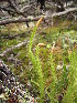  ( - MLTV14)  @11 [ ] Copyright (2011) Malie Lessard-Therrien Unspecified