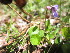  ( - MLTV22)  @11 [ ] Copyright (2011) Malie Lessard-Therrien Unspecified