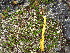  ( - MLTV35)  @11 [ ] Copyright (2011) Malie Lessard-Therrien Unspecified