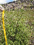  ( - MLTV51)  @11 [ ] Copyright (2011) Malie Lessard-Therrien Unspecified