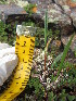  ( - MLTV60)  @11 [ ] Copyright (2011) Malie Lessard-Therrien Unspecified