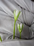  ( - MLTV61)  @11 [ ] Copyright (2011) Malie Lessard-Therrien Unspecified