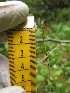  ( - MLTV67)  @11 [ ] Copyright (2011) Malie Lessard-Therrien Unspecified