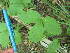  ( - MLTV74)  @11 [ ] Copyright (2011) Malie Lessard-Therrien Unspecified