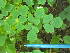  ( - MLTV78)  @11 [ ] Copyright (2011) Malie Lessard-Therrien Unspecified