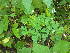  ( - MLTV78)  @11 [ ] Copyright (2011) Malie Lessard-Therrien Unspecified