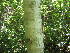  ( - MLTV79)  @11 [ ] Copyright (2011) Malie Lessard-Therrien Unspecified