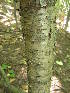  ( - MLTV82)  @11 [ ] Copyright (2011) Malie Lessard-Therrien Unspecified