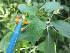  ( - MLTV83)  @11 [ ] Copyright (2011) Malie Lessard-Therrien Unspecified
