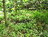  ( - MLTV87)  @11 [ ] Copyright (2011) Malie Lessard-Therrien Unspecified